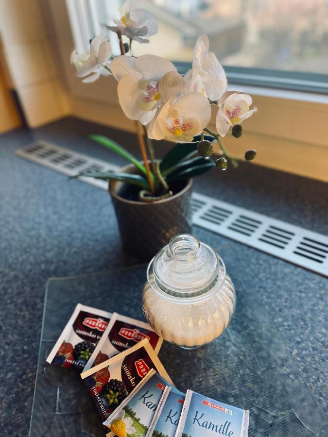 Relax Appartement - グラーツ エクステリア 写真